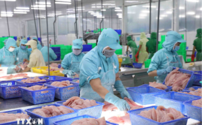 Gỡ vướng thủ tục xuất khẩu thủy sản sang Hoa Kỳ