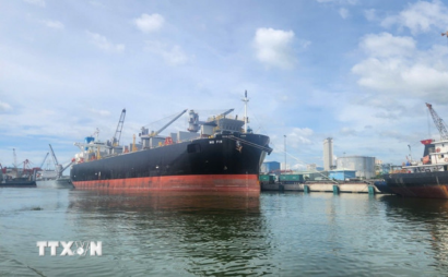 Tận dụng tối đa tiềm năng và lợi thế cảng biển của Việt Nam