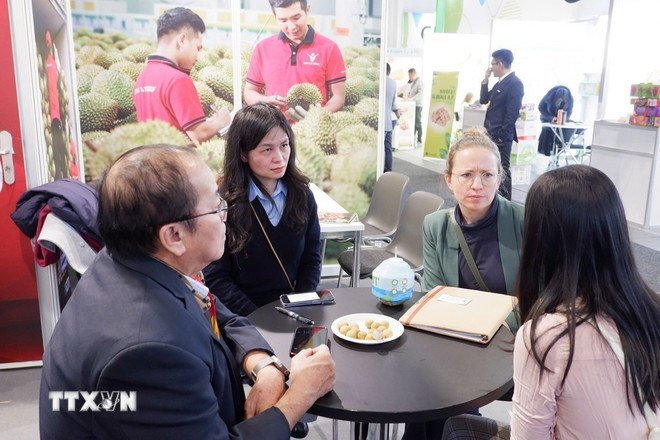 Vinafruit phối hợp với Thương vụ Việt Nam tại Đức làm việc với bà Tabea Mack (thứ 3, phải sang), phụ trách thu mua của Chương trình hỗ trợ nhập khẩu Đức (IPD). (Ảnh: Thùy Linh/TTXVN)