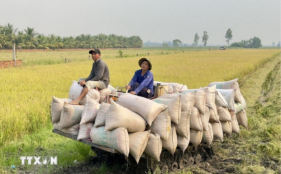 Xuất khẩu nông, lâm, thủy sản tháng đầu năm 2026 tăng gần 30%